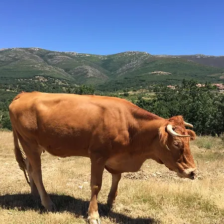 Appartement Casa Roman Ii Riaza