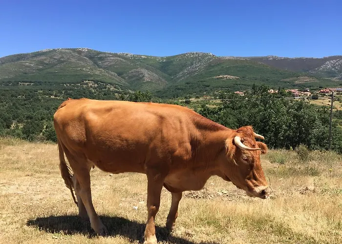 Apartment Casa Ii Riaza